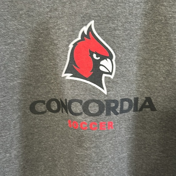 Carhartt Concordia soccer sweatshirt gray size large loose fit - Picture 2 of 6